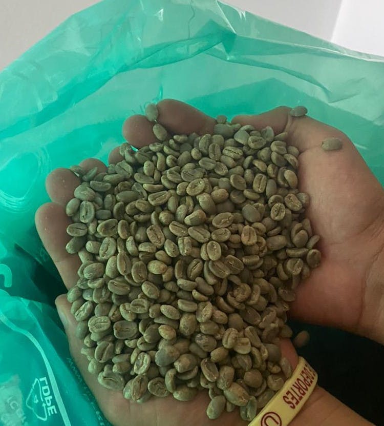 Café Verde Arábica de Especialidad Blend