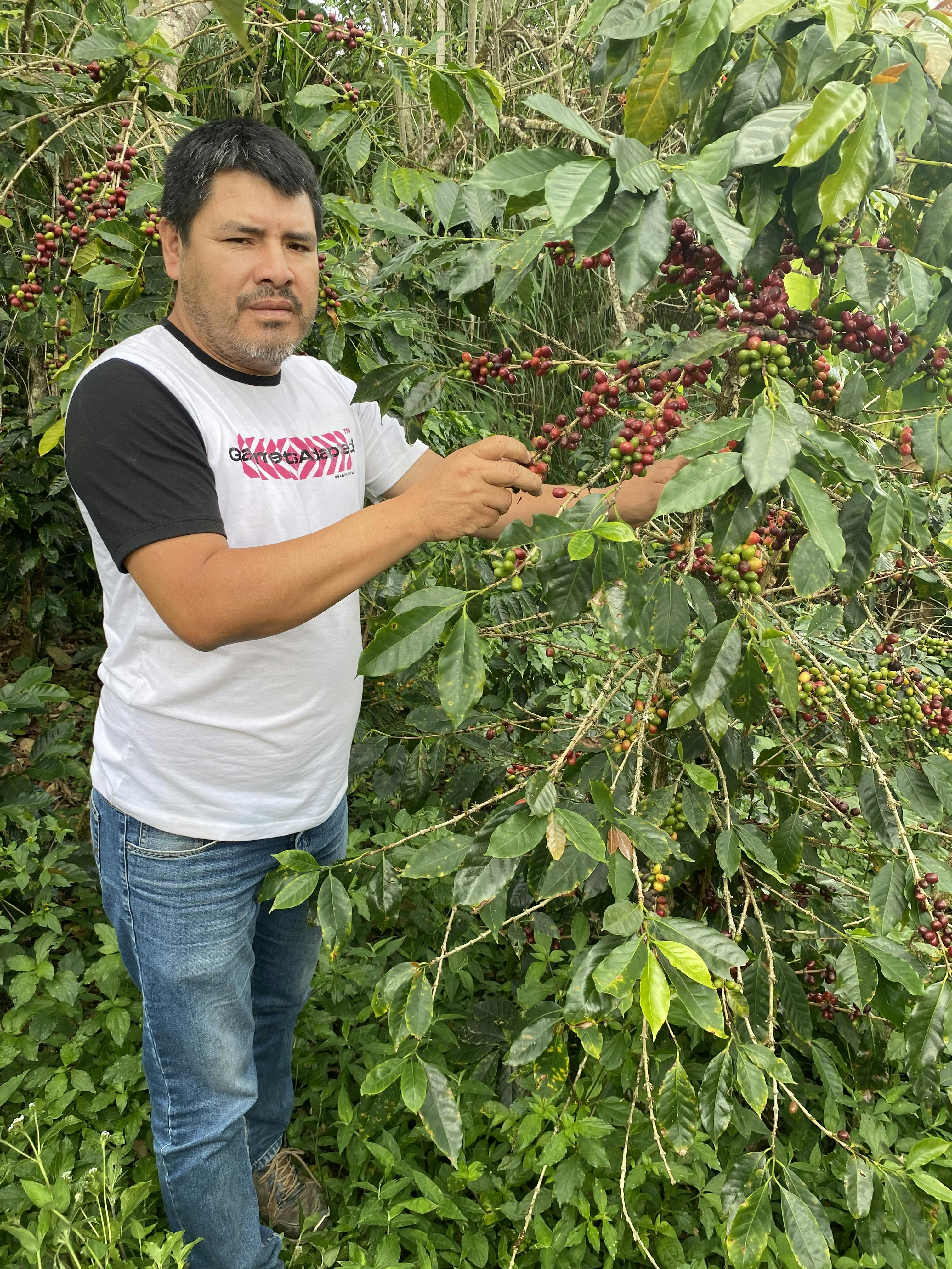 Picture for PeruEsCafe coffee producer.