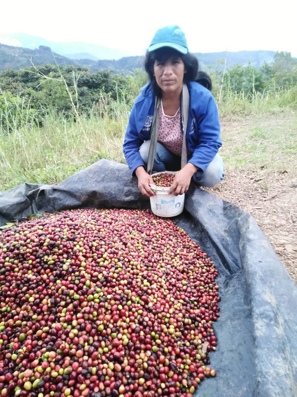 Picture for PeruEsCafe coffee producer.