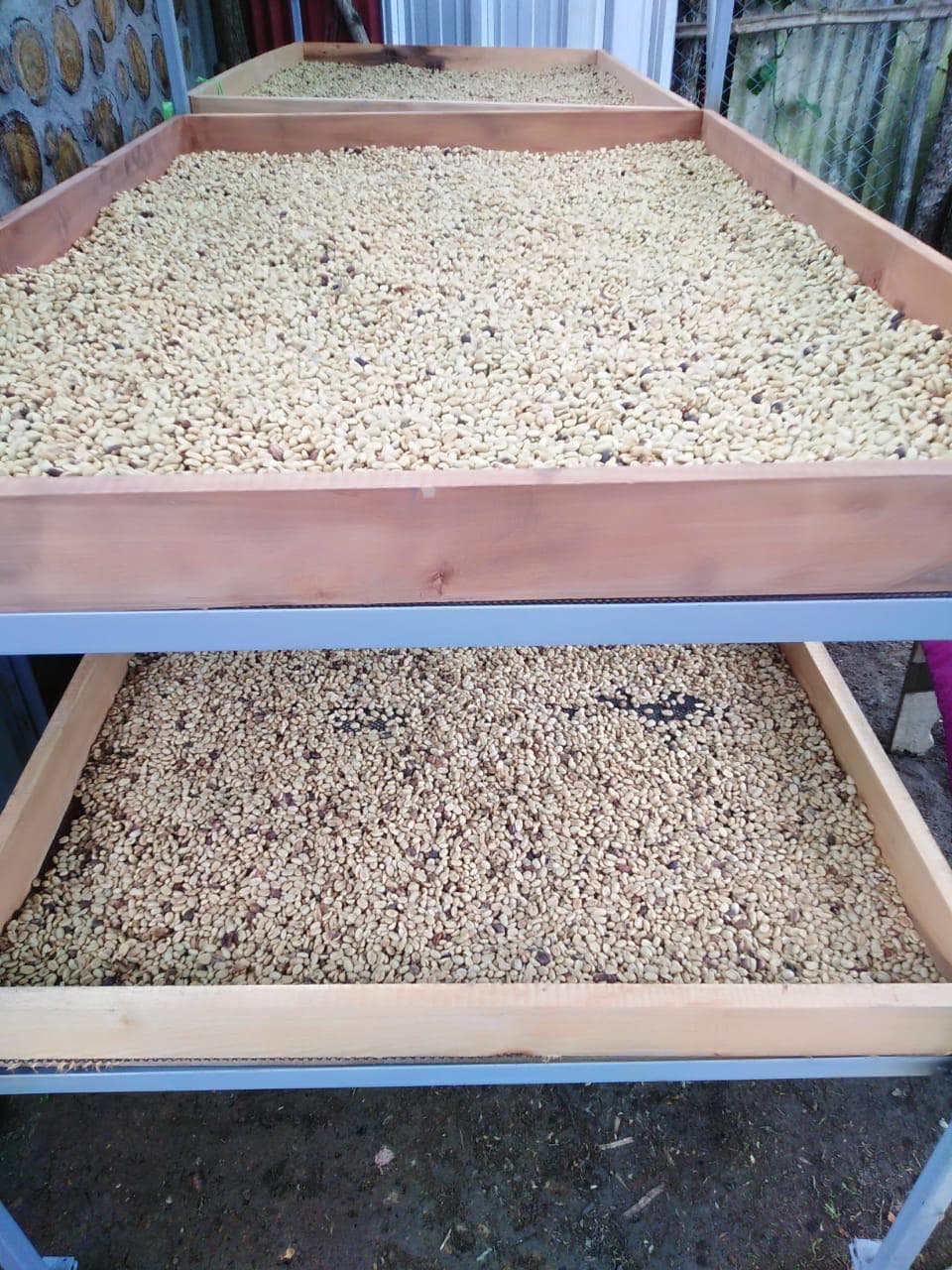 Picture for PeruEsCafe coffee producer.